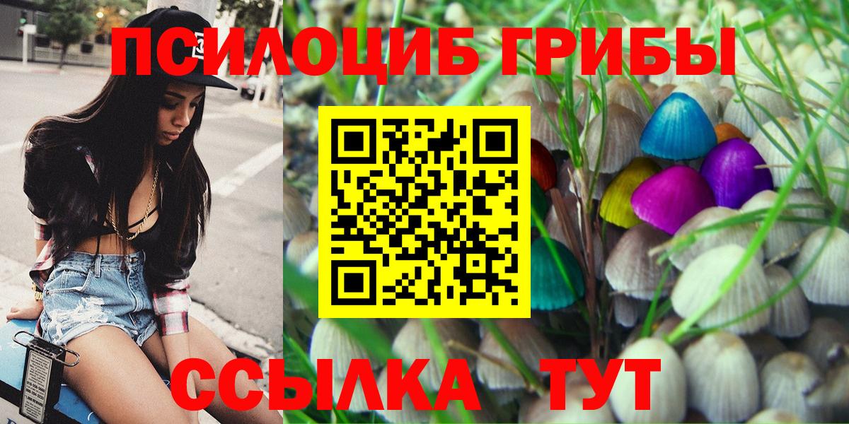 Псилоцибиновые грибы прущие грибы  Вход с VPN  Костомукша 